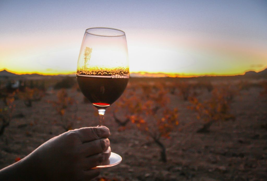 Concurso de fotografía organizado durante los meses de septiembre y octubre por la Ruta del Vino de Jumilla donde los participantes pueden dejar volar su creatividad...